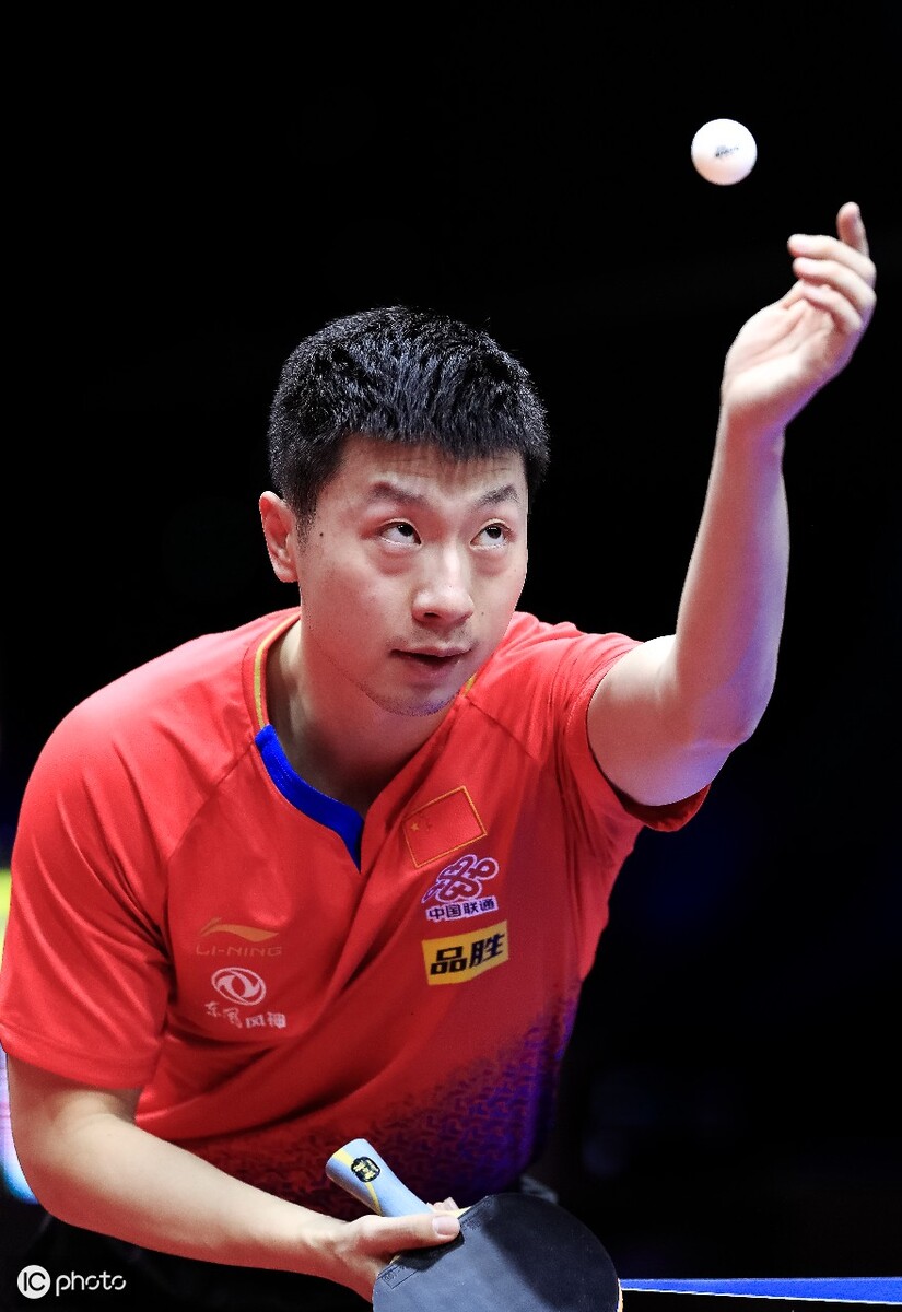 拳坛新星的 拳坛新星的